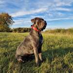 Ersteller:in Daniela Profilbild