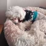 Ersteller:in Patricia Profilbild