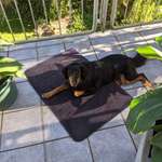 Ersteller:in Kerstin Profilbild