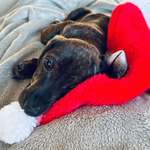 Ersteller:in Nic Profilbild