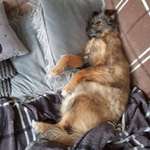 Ersteller:in Andrea Profilbild