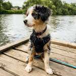 Ersteller:in Rebecca Profilbild