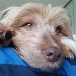 Ersteller:in Heiko Profilbild