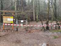 Hundeauslaufgebiet-Hundewald Christianslust-Bild