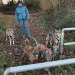 Ersteller:in Sabrina Profilbild