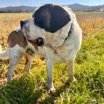 Ersteller:in Kathi Profilbild