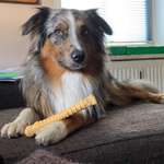 Ersteller:in Michelle Profilbild