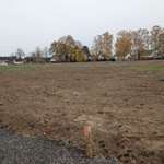 Hundeauslaufgebiet-Schuberthweg-Bild