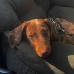 Ersteller:in Lena Profilbild