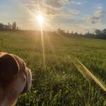 Ersteller:in Maria Profilbild