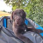 Ersteller:in Vanessa Profilbild