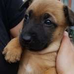 Ersteller:in Sonja Profilbild