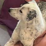 Ersteller:in Nicole Profilbild