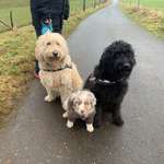 Ersteller:in Nina Profilbild