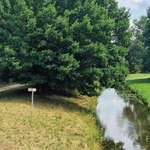 Hundestrand-Eger Nähermemmingen-Bild