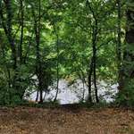 Hundestrand-Eger am Bäumlesgraben-Bild