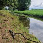 Hundestrand-Eger Nähermemmingen-Bild