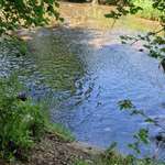 Hundestrand-Eger am Bäumlesgraben-Bild
