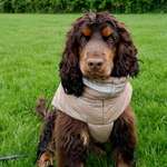 Ersteller:in Stina👱🏼‍♀️ Profilbild