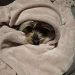 Ersteller:in Monika Profilbild