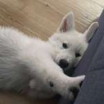 Ersteller:in Luja Profilbild