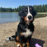 Ersteller:in Jessica Profilbild