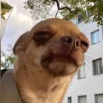 Ersteller:in Emma Profilbild