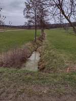 Hundeauslaufgebiet-Im Tal-Bild