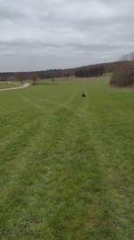 Hundeauslaufgebiet-Im Tal-Bild