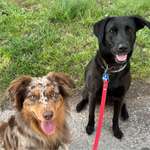 Ersteller:in Marie Profilbild