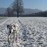 Ersteller:in Reen Profilbild