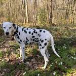 Ersteller:in Reen Profilbild