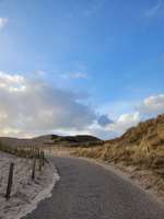 Urlaub mit Hunden-Beitrag-Bild