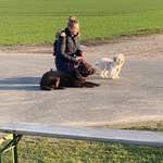 Ersteller:in Julia Profilbild