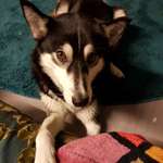 Ersteller:in Ronja Profilbild