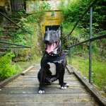 Ersteller:in Tina Profilbild