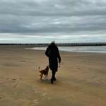 Ersteller:in Mareen Profilbild