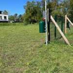 Hundeauslaufgebiet-Hundeauslauf am Altenheim/ Rodelberg-Bild