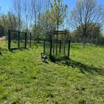 Hundeauslaufgebiet-Hundeauslauf am Altenheim/ Rodelberg-Bild