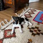 Ersteller:in Cindy Profilbild