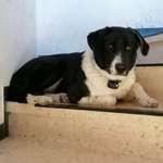 Ersteller:in Melanie Profilbild