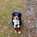 Ersteller:in Isabel Profilbild