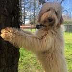 Ersteller:in Jeannette Profilbild