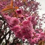 Ersteller:in Patricia Profilbild