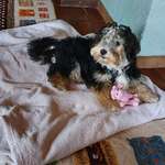 Ersteller:in Kigi Profilbild