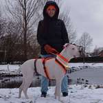 Ersteller:in Sonja Profilbild