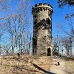 Hundeauslaufgebiet-Zum Steinbergturm-Bild