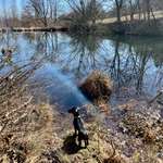 Hundeauslaufgebiet-Zum Steinbergturm-Bild