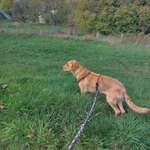 Ersteller:in Hanna Profilbild