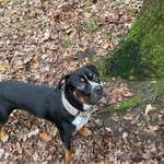 Ersteller:in Tina Profilbild